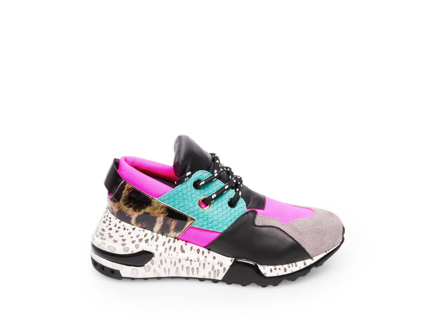 CLIFF BRIGHT MULTI - Shoes - Steve Madden Canada