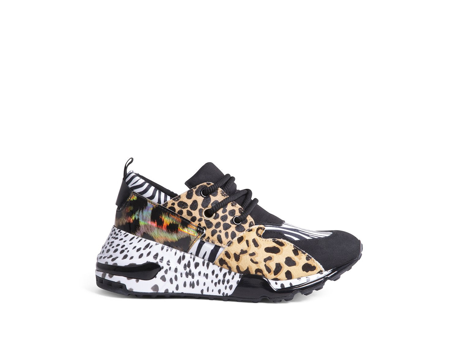 CLIFF ZEBRA MULTI - Shoes - Steve Madden Canada