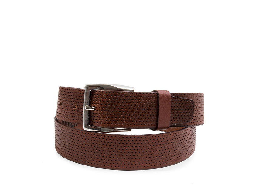 SEDRIC BROWN LEATHER - Accessories - Steve Madden Canada