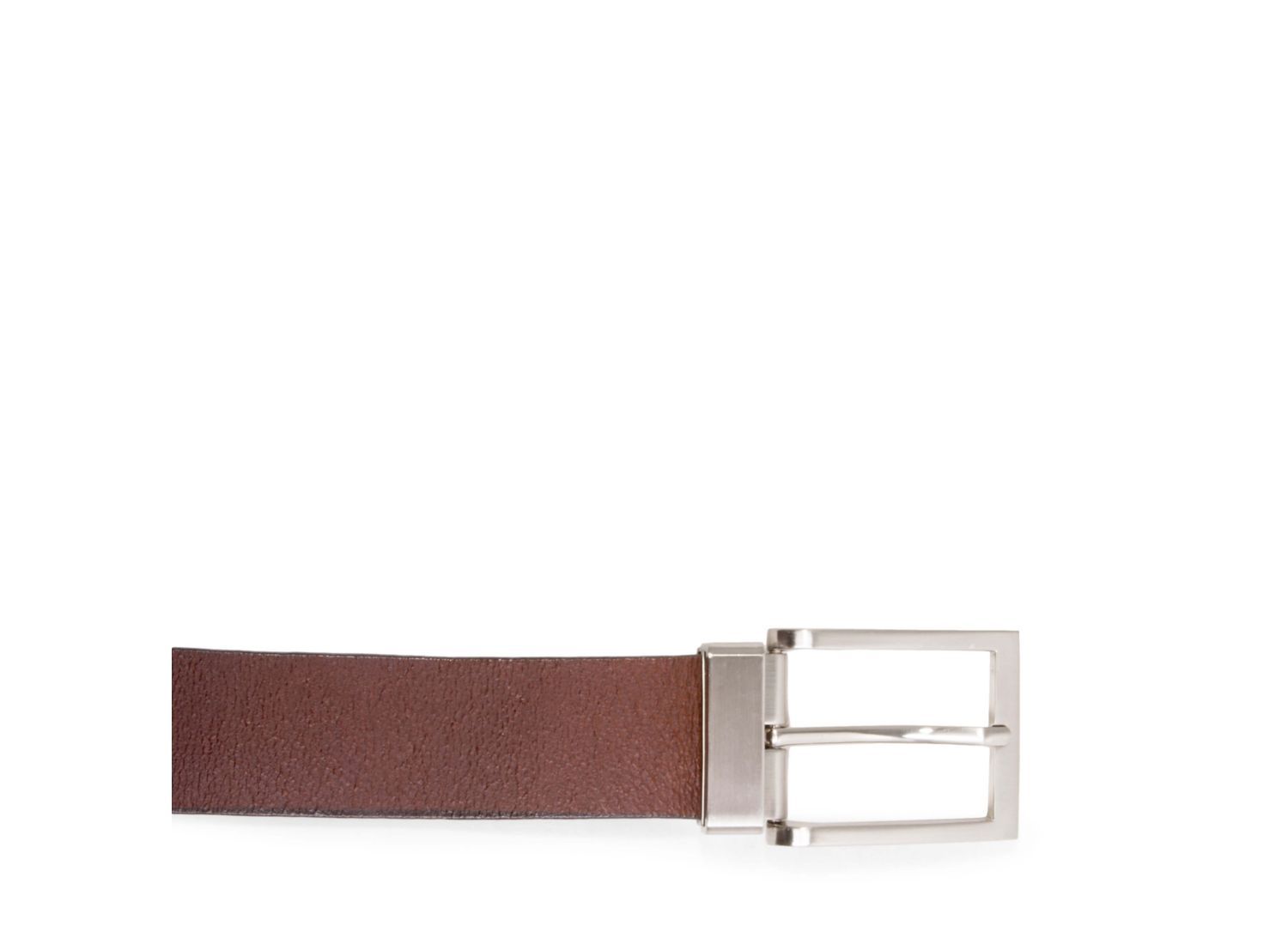 SPENCERR BROWN LEATHER - Accessories - Steve Madden Canada