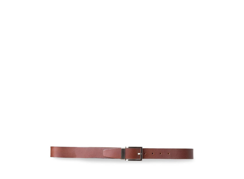 SPENCERR BROWN LEATHER - Accessories - Steve Madden Canada