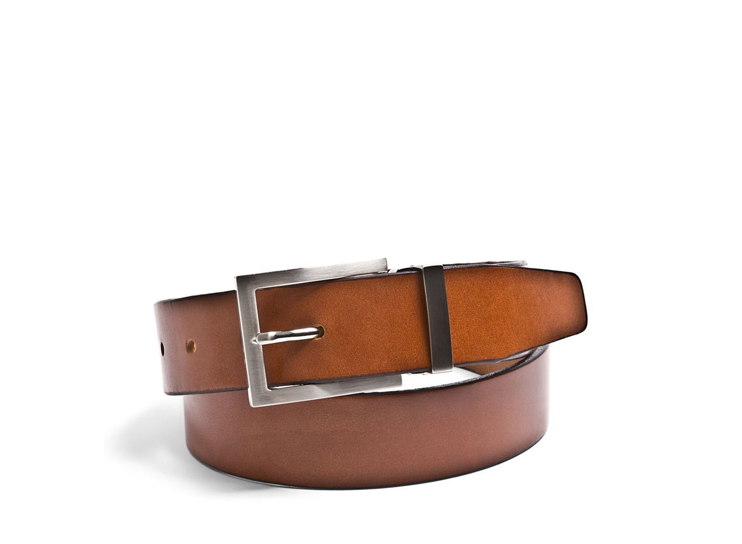 SPENCERR TAN LEATHER - Accessories - Steve Madden Canada