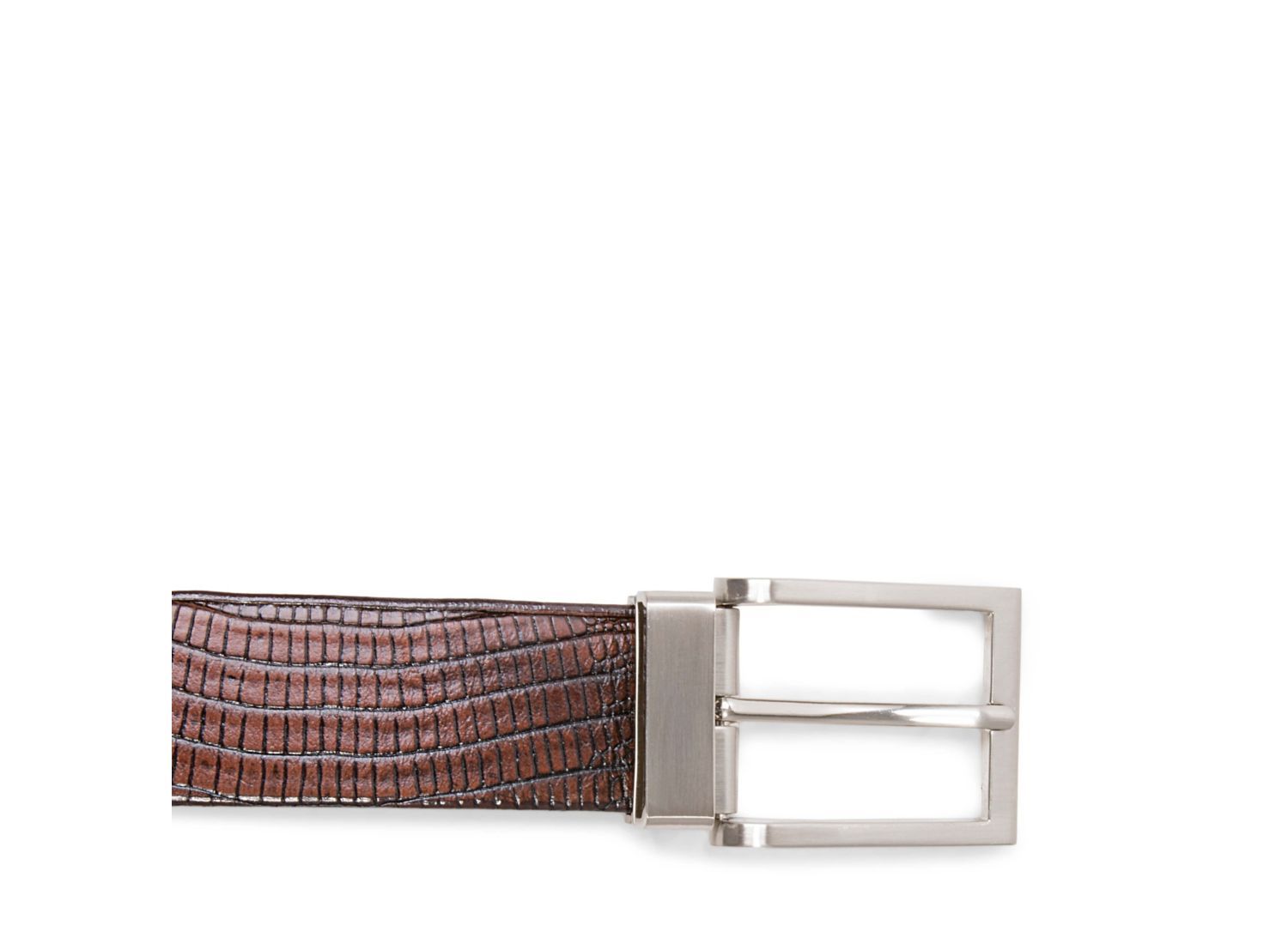 STEFANNO TAN LEATHER - Accessories - Steve Madden Canada