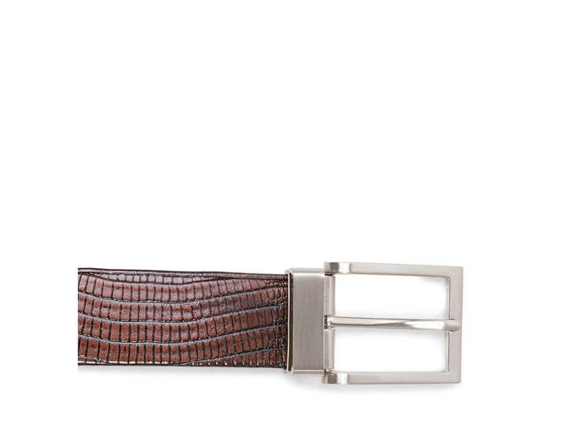 STEFANNO TAN LEATHER - Accessories - Steve Madden Canada