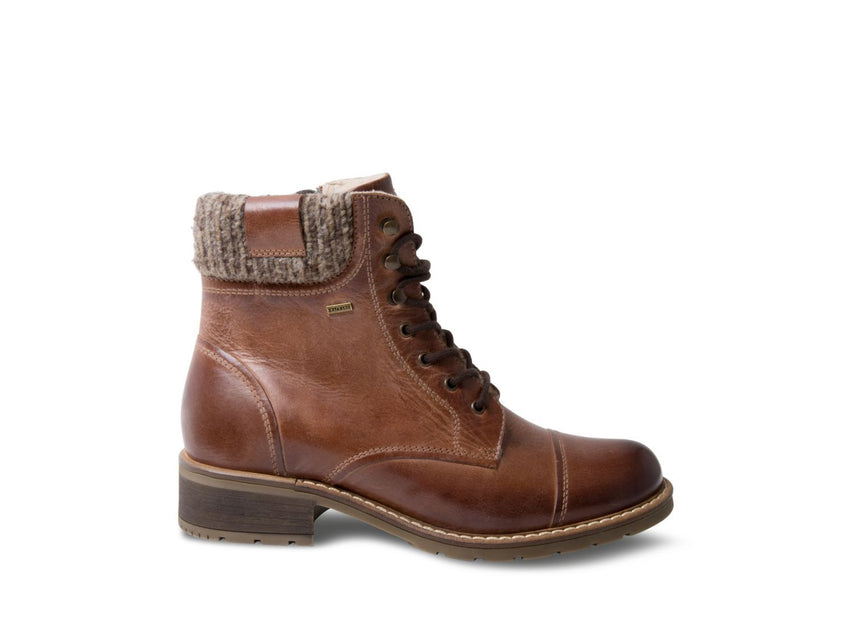 AVID BROWN LEATHER - Shoes - Steve Madden Canada