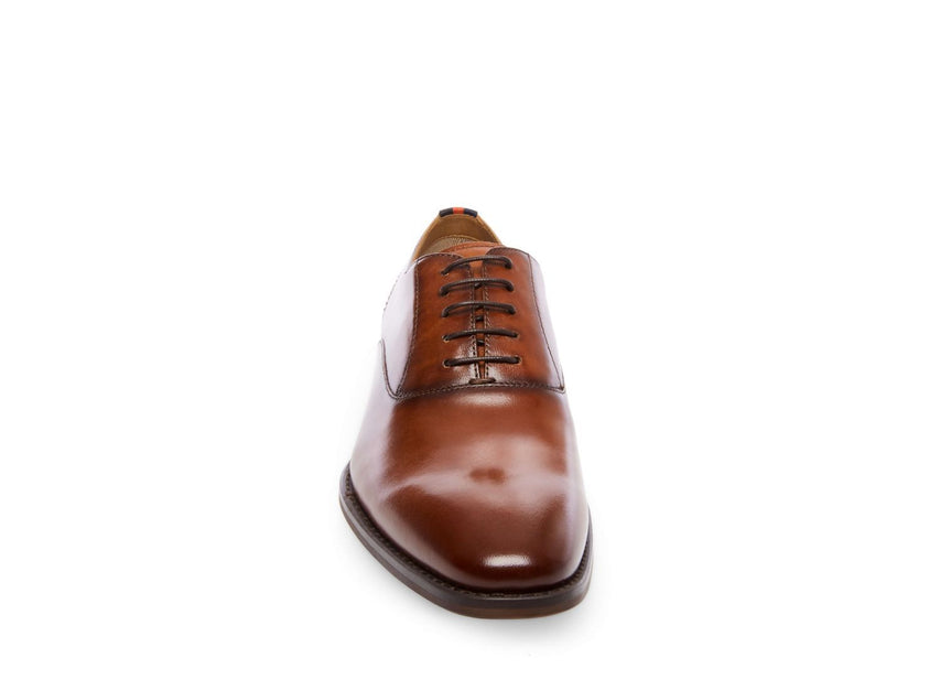 DRISCOLL TAN LEATHER - Shoes - Steve Madden Canada