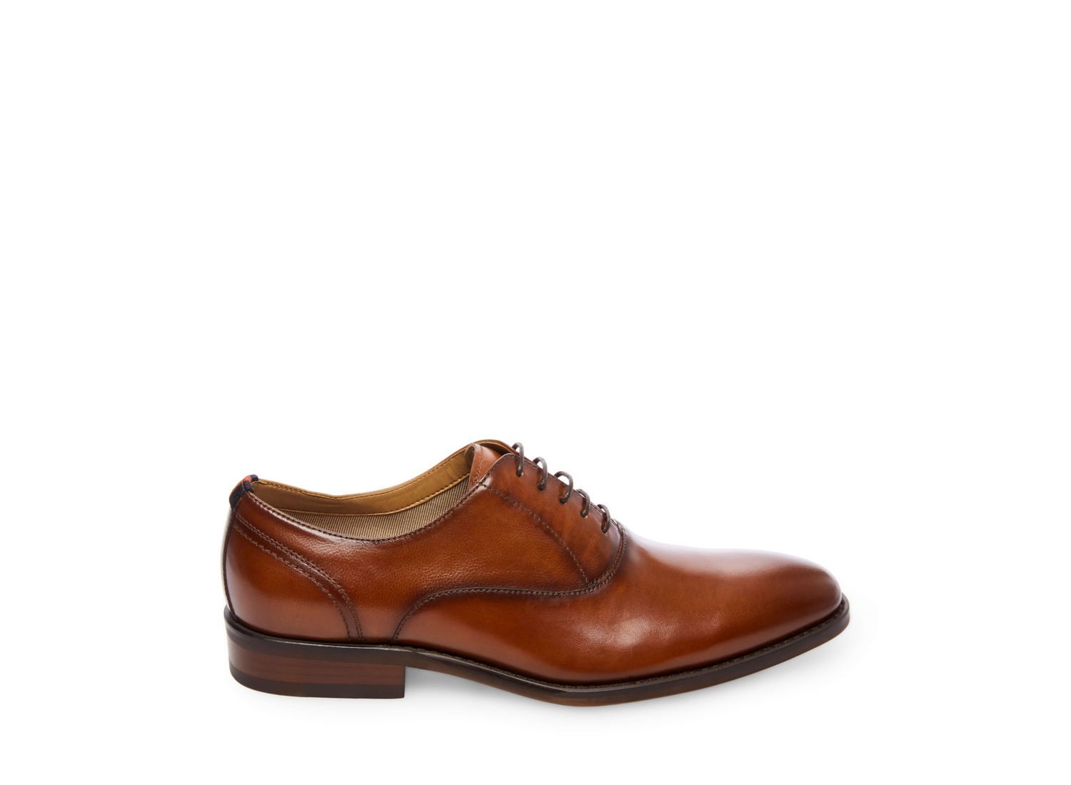 DRISCOLL TAN LEATHER - Shoes - Steve Madden Canada