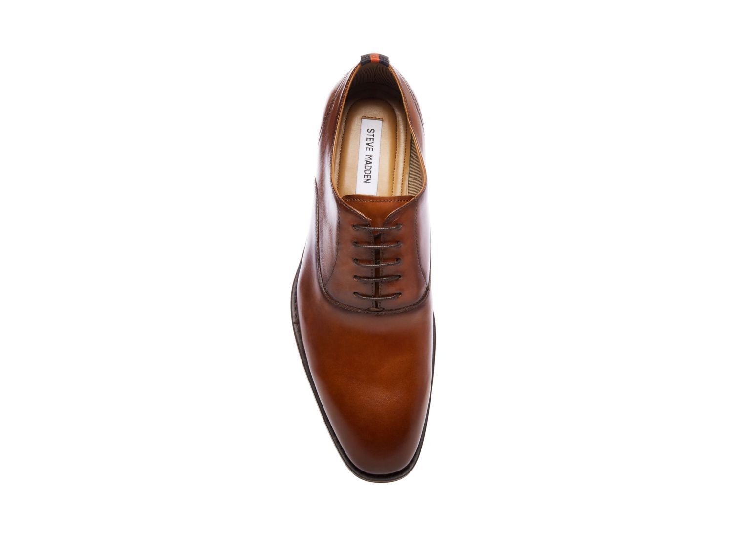 DRISCOLL TAN LEATHER - Shoes - Steve Madden Canada