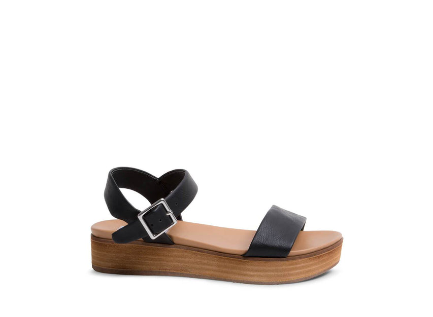 ALIYAHH BLACK -  - Steve Madden Canada