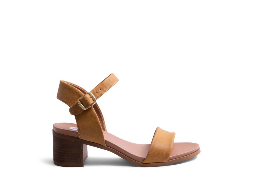 AUGUSTT TAN - Shoes - Steve Madden Canada
