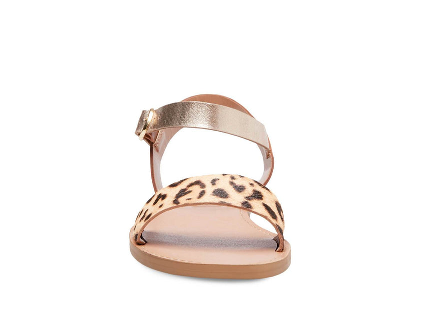 DONDDIA LEOPARD MULTI - Shoes - Steve Madden Canada