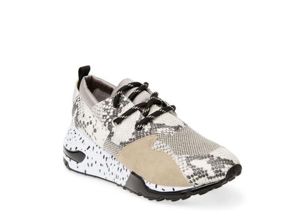 CLIFF NATURAL EXOTIC - Shoes - Steve Madden Canada