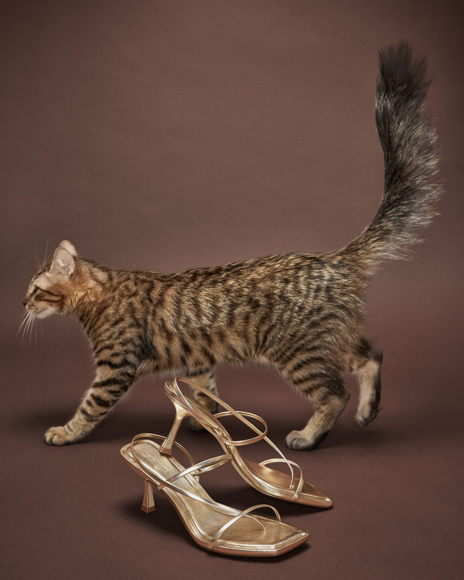 LOCKE GOLD - Women's Shoes - Steve Madden Canada