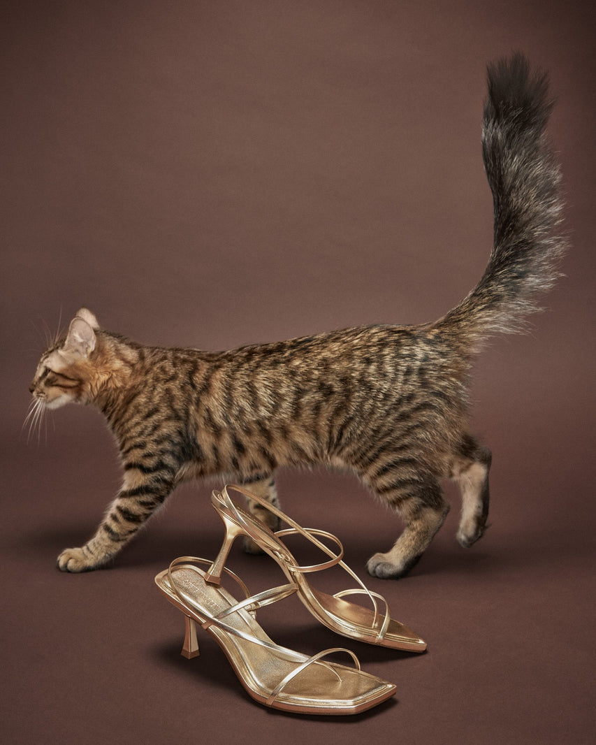 LOCKE GOLD - Women's Shoes - Steve Madden Canada
