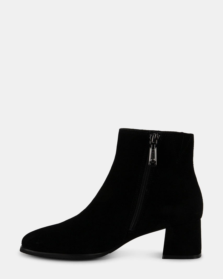 COLBY BLACK SUEDE - Women's Shoes - Steve Madden Canada