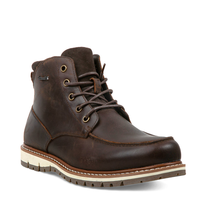 TODDE BROWN LEATHER - Men's Shoes - Steve Madden Canada