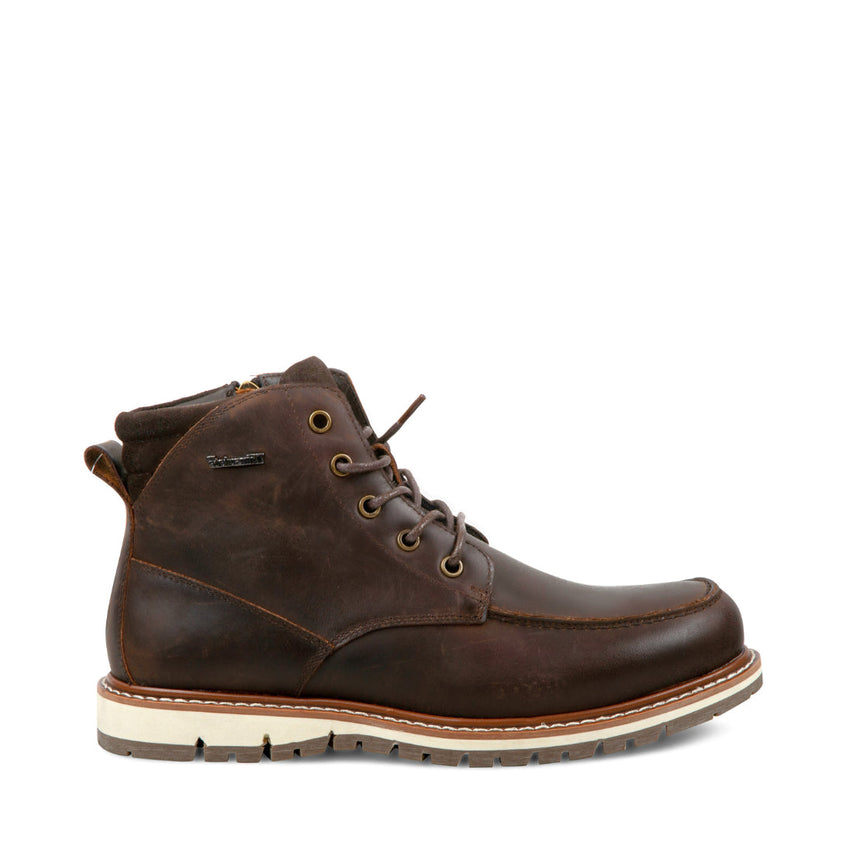 TODDE BROWN LEATHER - Men's Shoes - Steve Madden Canada