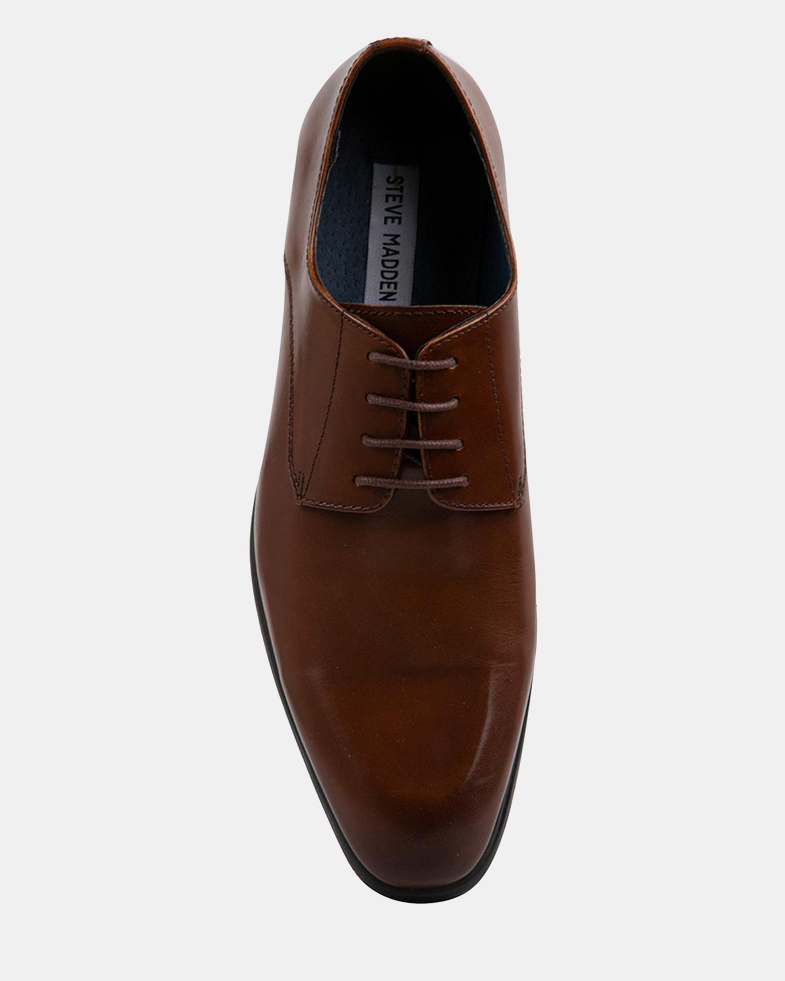 JAVIN TAN LEATHER - Men's Shoes - Steve Madden Canada