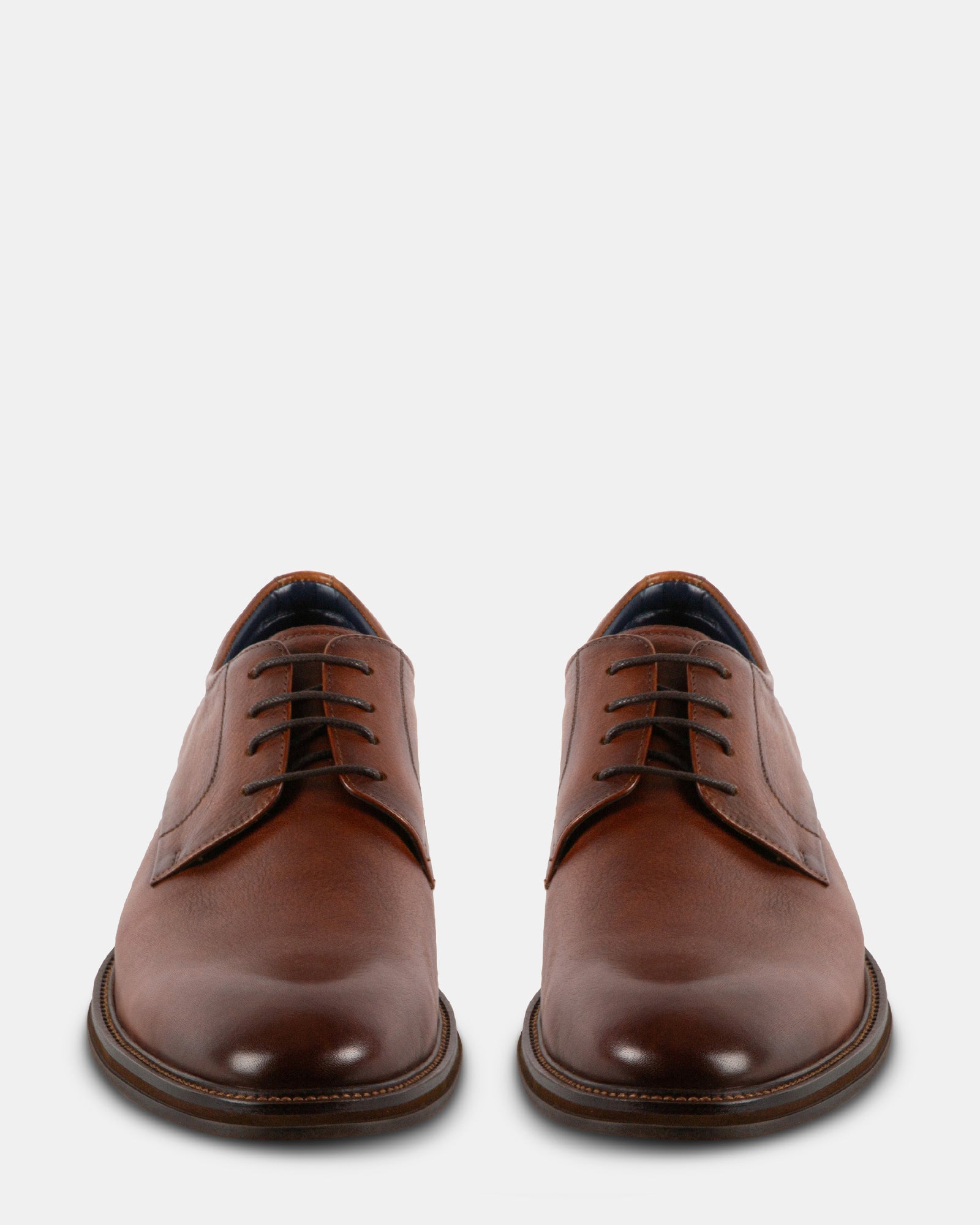 SITTLERR TAN LEATHER - Men's Shoes - Steve Madden Canada