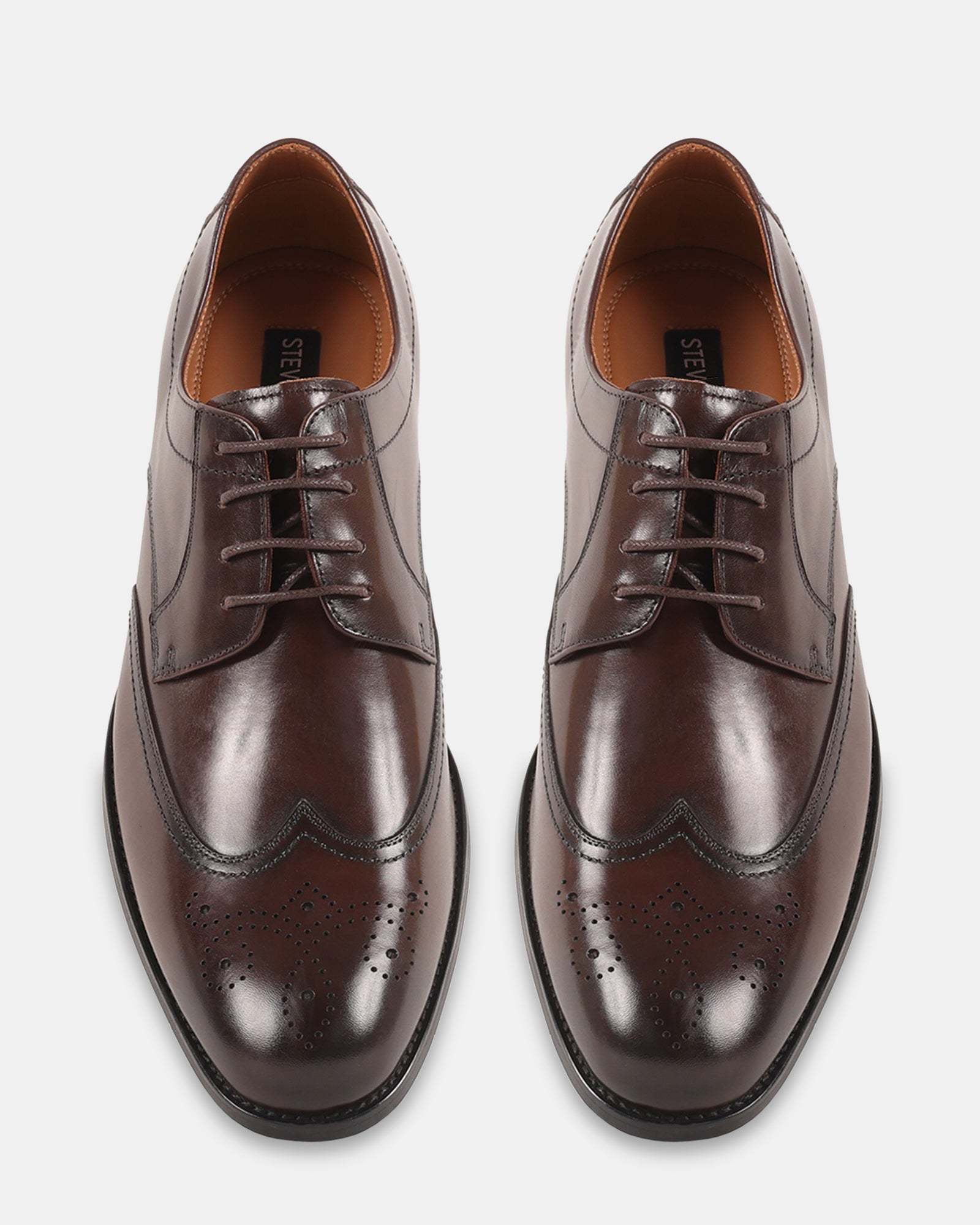 DISTRO BROWN LEATHER - Men's Shoes - Steve Madden Canada