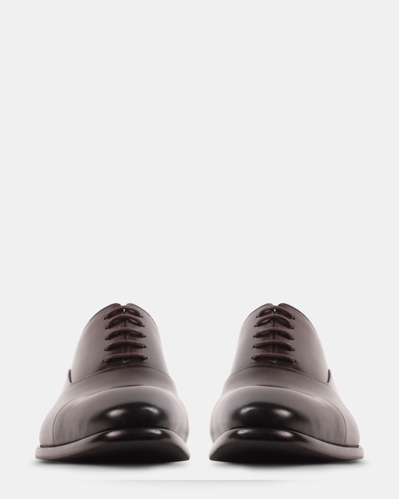 MORIATTI BROWN LEATHER - Men's Shoes - Steve Madden Canada
