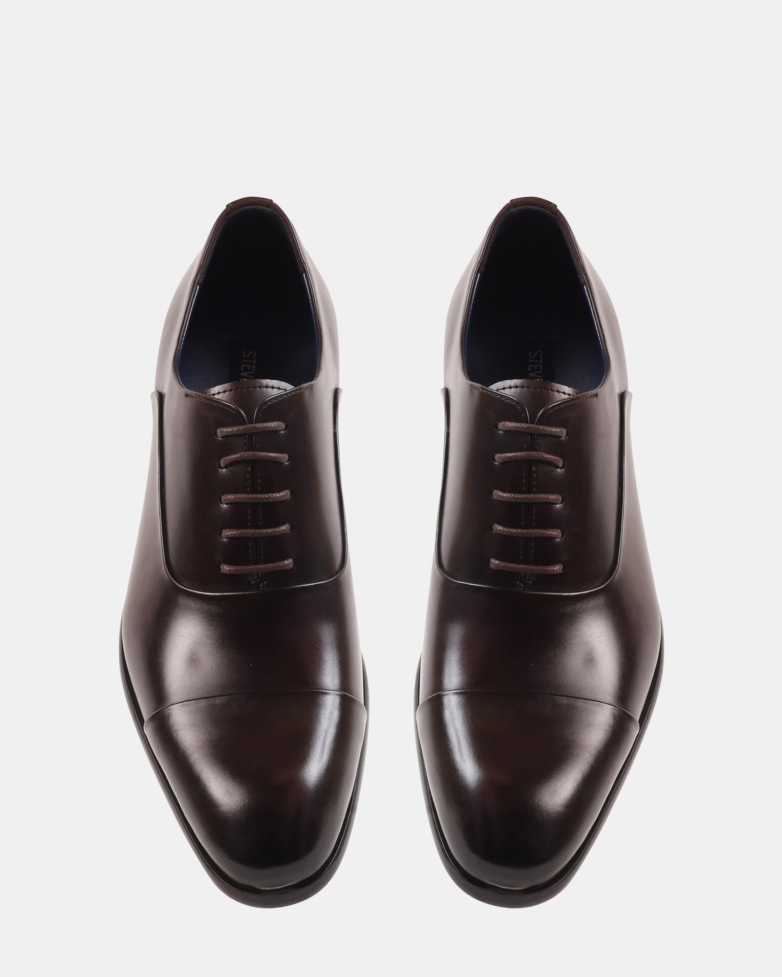 MORIATTI BROWN LEATHER - Men's Shoes - Steve Madden Canada