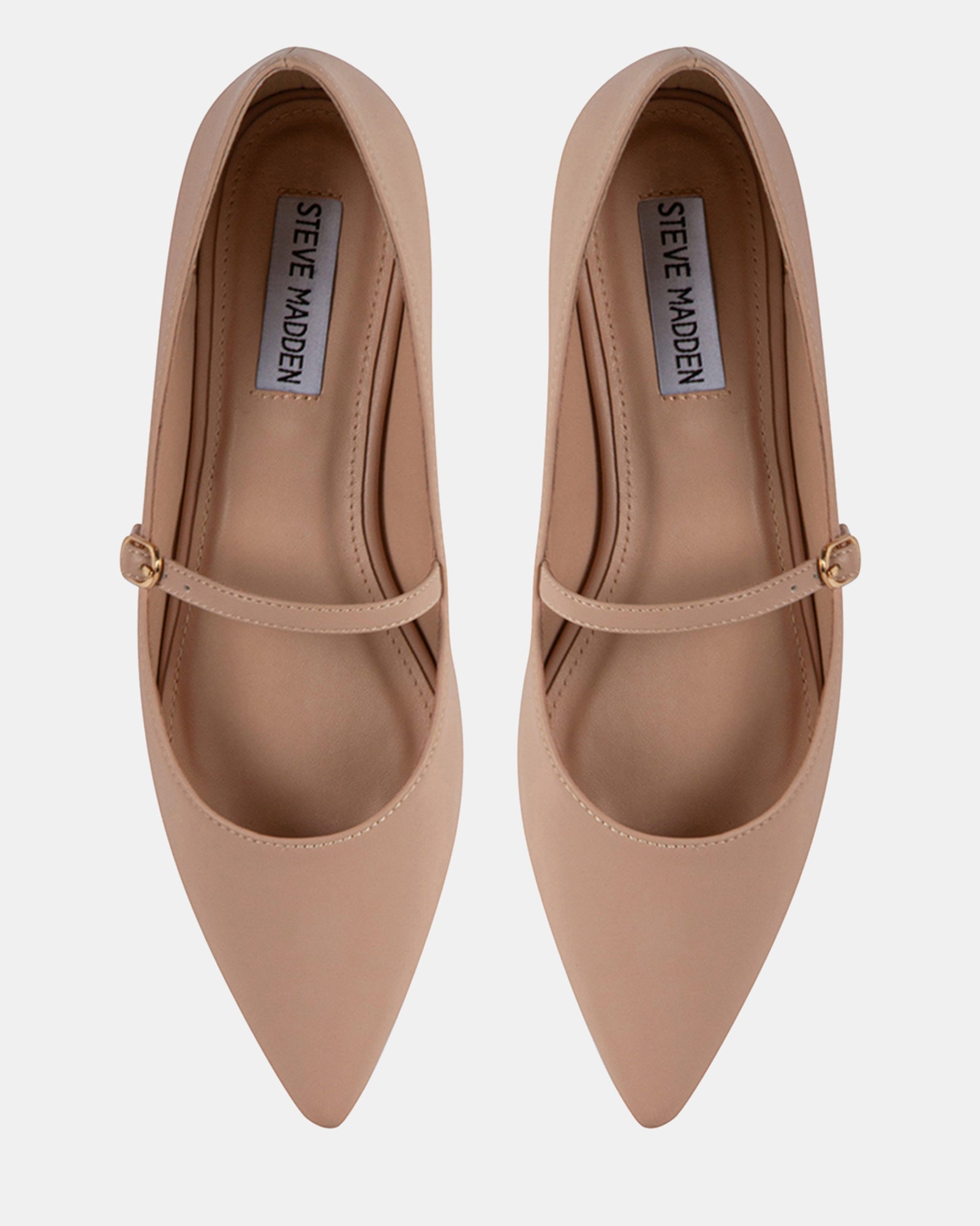 DIVE BLUSH - Women's Shoes - Steve Madden Canada