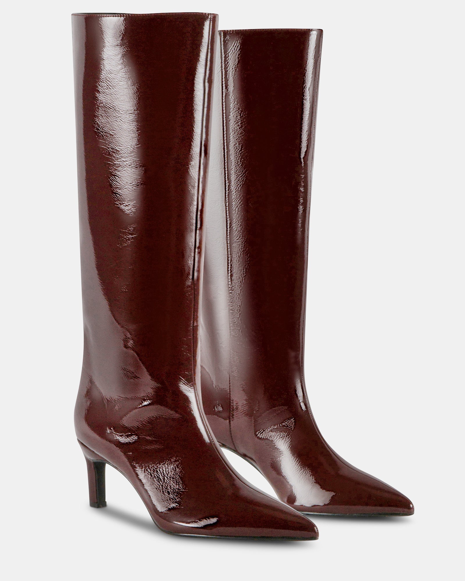 CAIMAN BURGUNDY - Women's Shoes - Steve Madden Canada