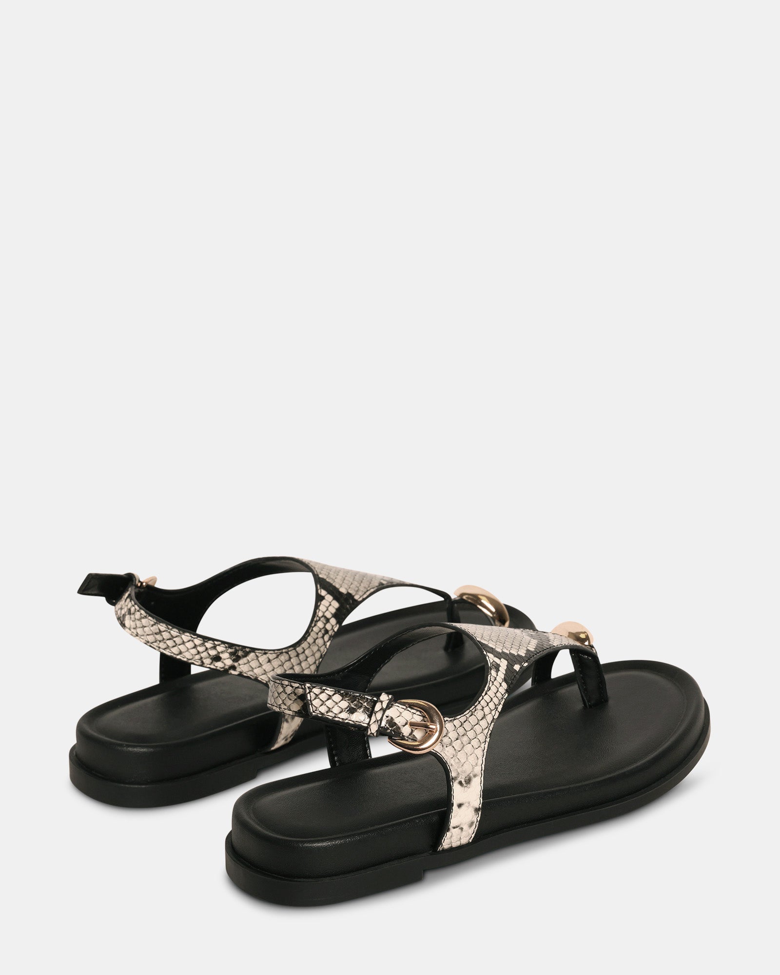 NAUGHTY SNAKE - Women's Shoes - Steve Madden Canada