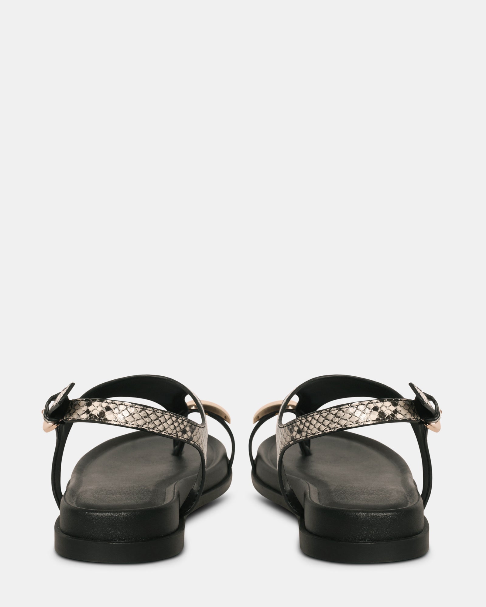 NAUGHTY SNAKE - Women's Shoes - Steve Madden Canada