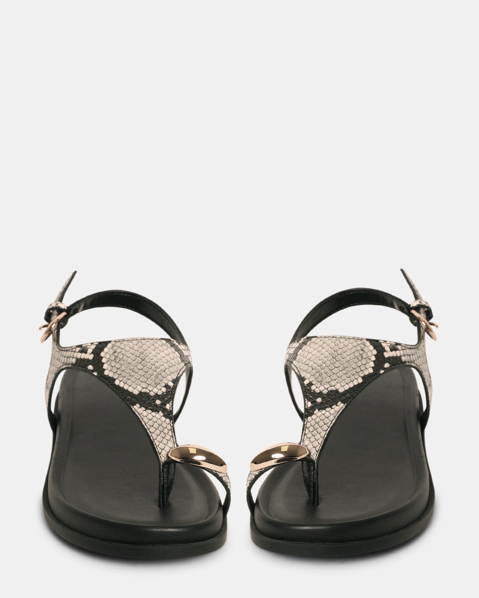 NAUGHTY SNAKE - Women's Shoes - Steve Madden Canada