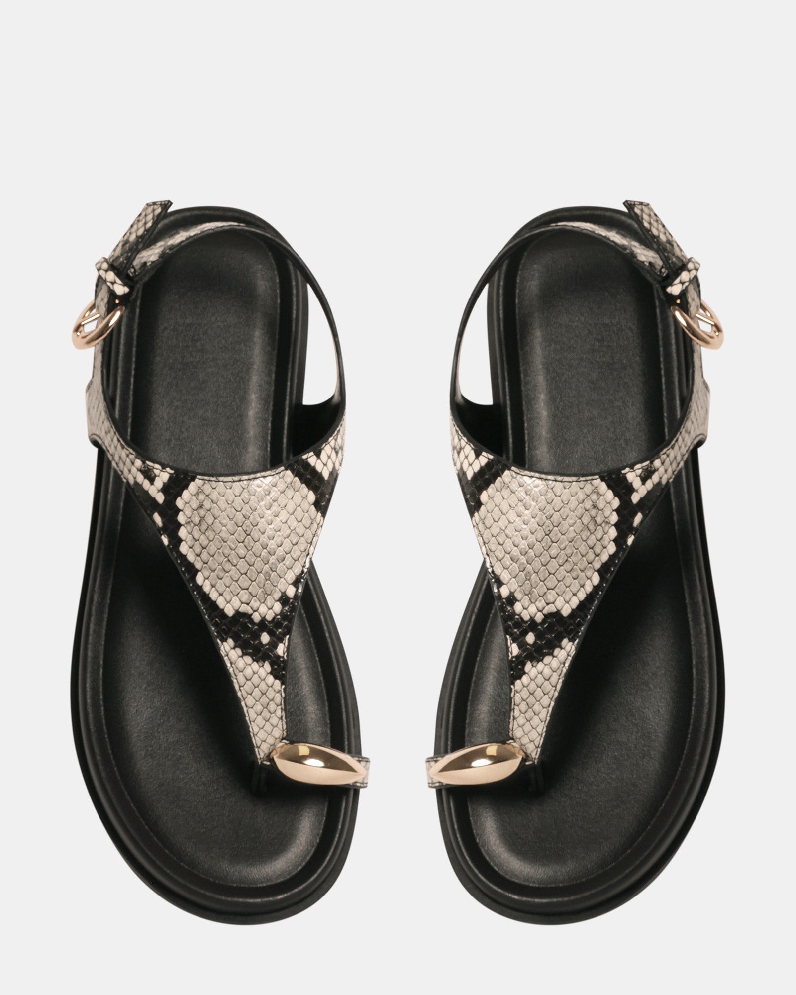 NAUGHTY SNAKE - Women's Shoes - Steve Madden Canada
