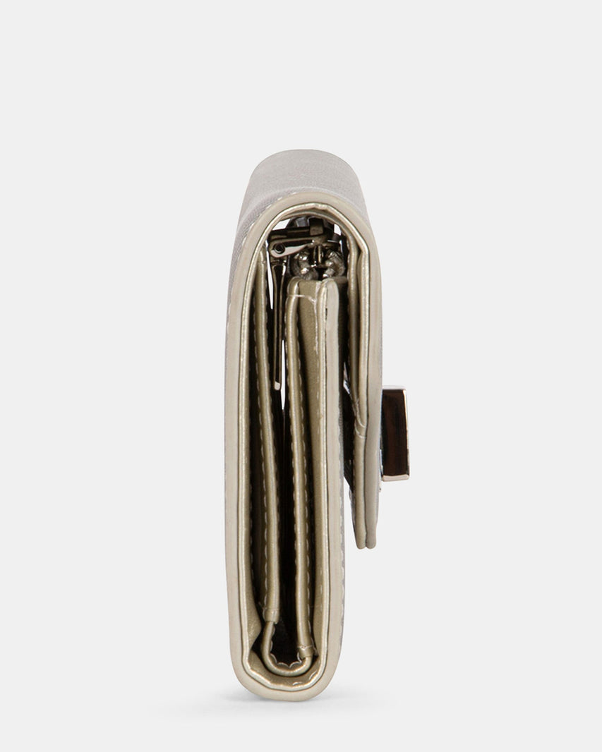 BLIVY SILVER - Handbags - Steve Madden Canada