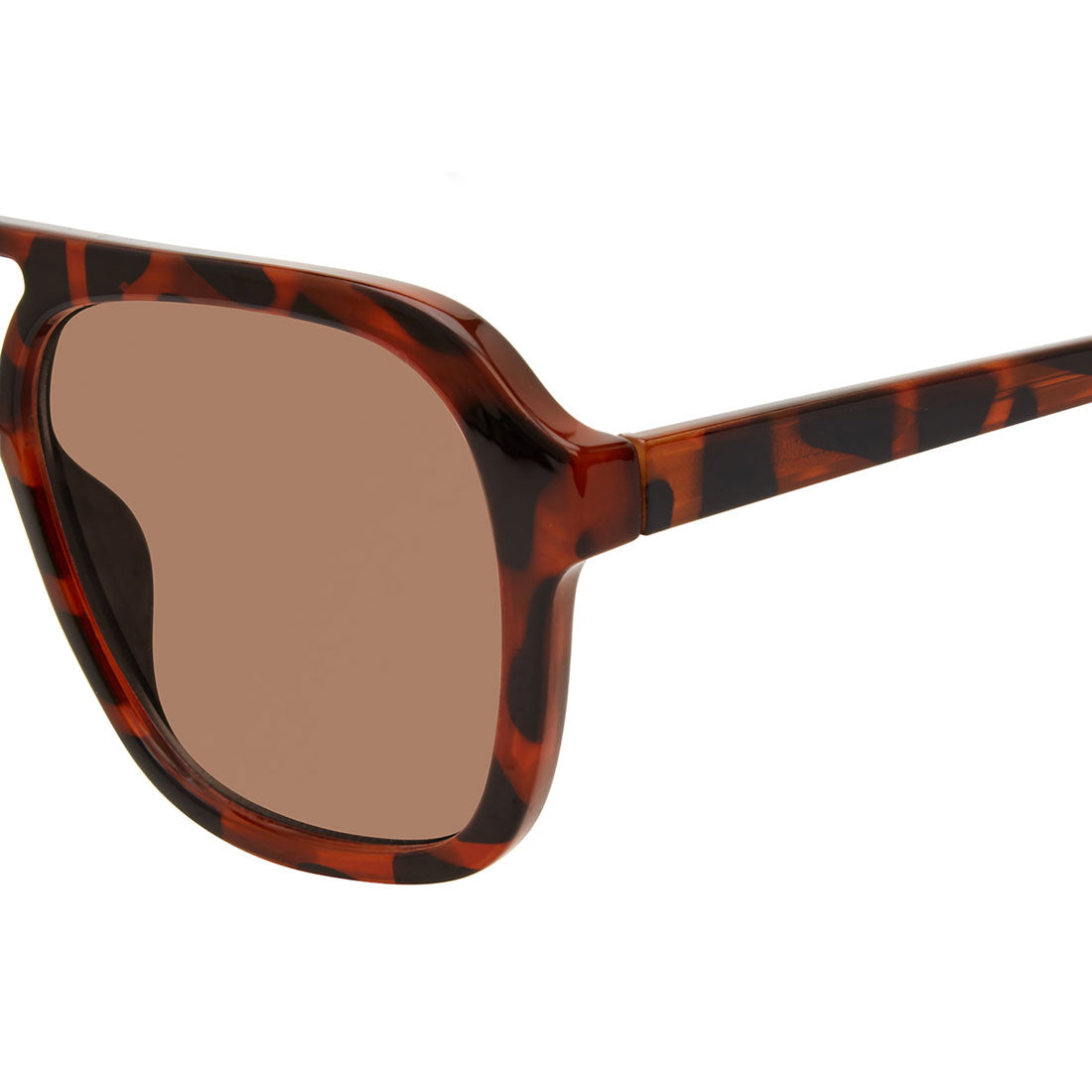 JACE SUNGLASSES BROWN MULTI - Accessories - Steve Madden Canada