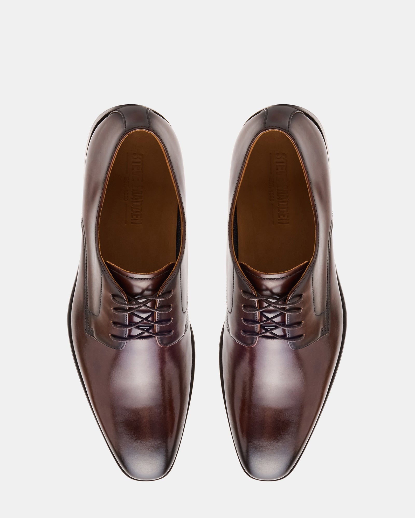 PARSCAL BROWN LEATHER - Men's Shoes - Steve Madden Canada