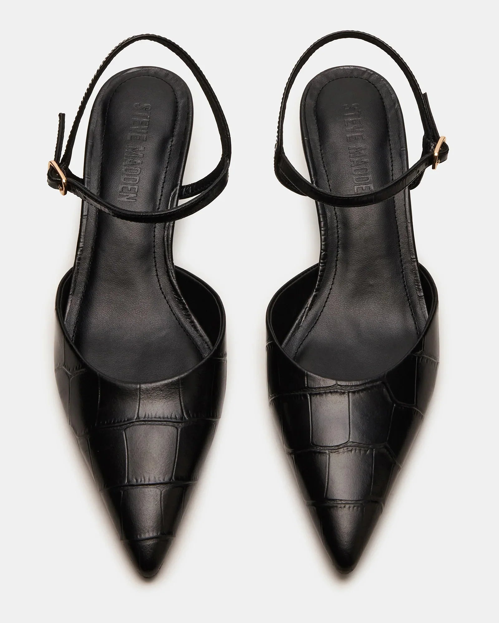 ADELAIDE BLACK EXOTIC - Women's Shoes - Steve Madden Canada