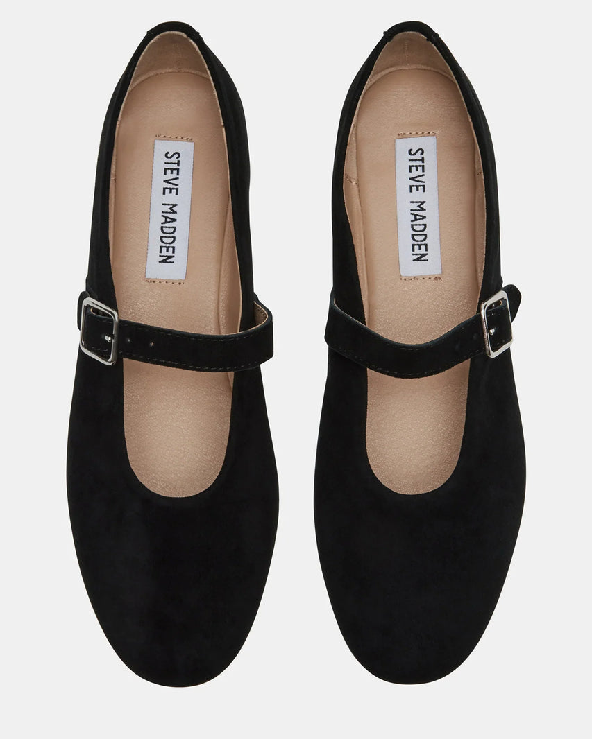 DREAMING-S BLACK SUEDE - Women's Shoes - Steve Madden Canada