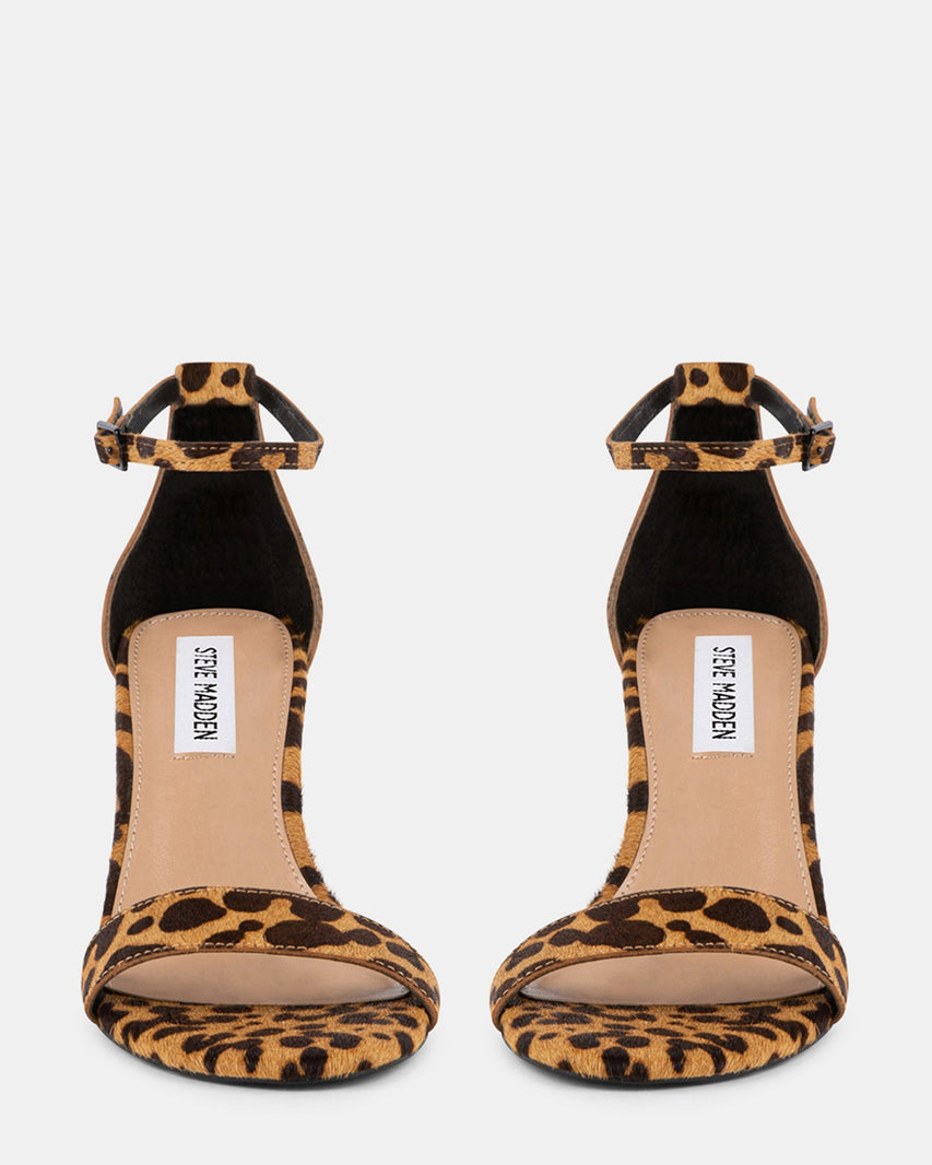 DYLANN-L LEOPARD - Women's Shoes - Steve Madden Canada