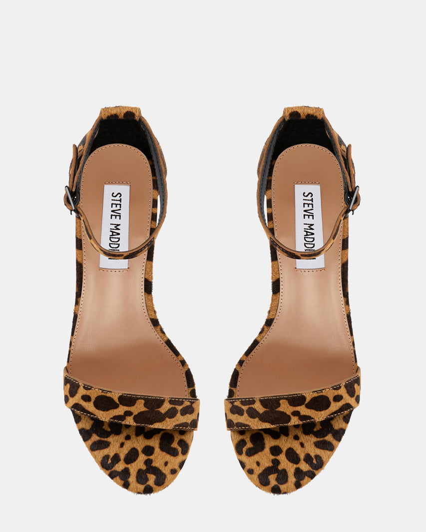 DYLANN-L LEOPARD - Women's Shoes - Steve Madden Canada