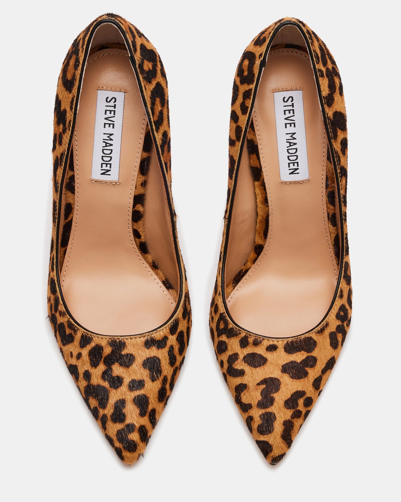 EVELYN-L LEOPARD - Women's Shoes - Steve Madden Canada