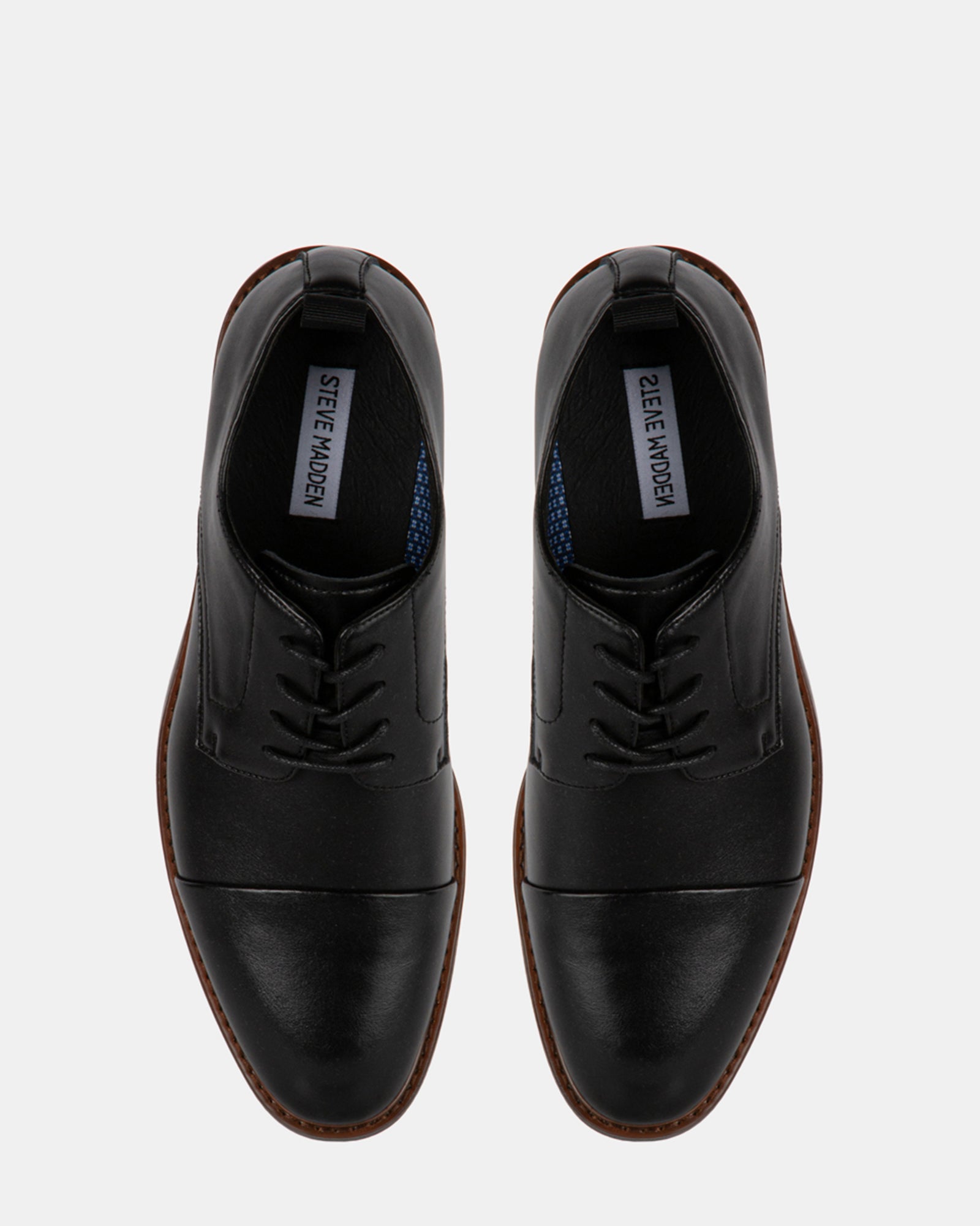 EVOLUTE BLACK LEATHER - Men's Shoes - Steve Madden Canada