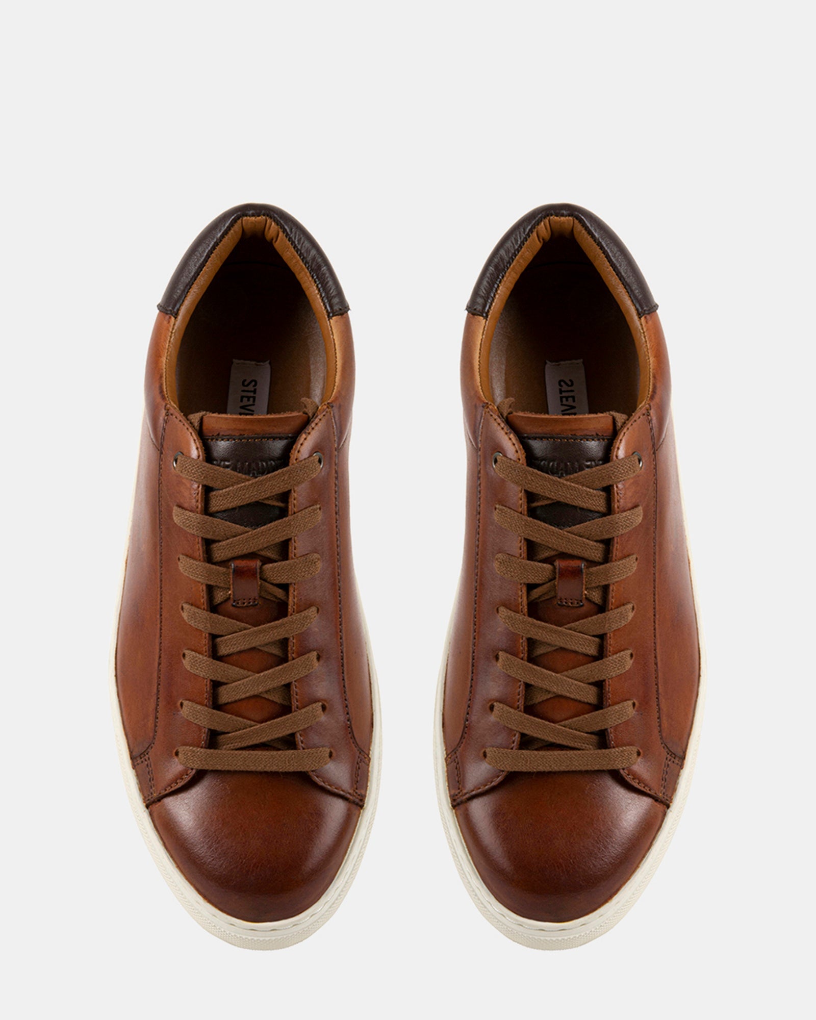 FOGARTY TAN LEATHER - Men's Shoes - Steve Madden Canada