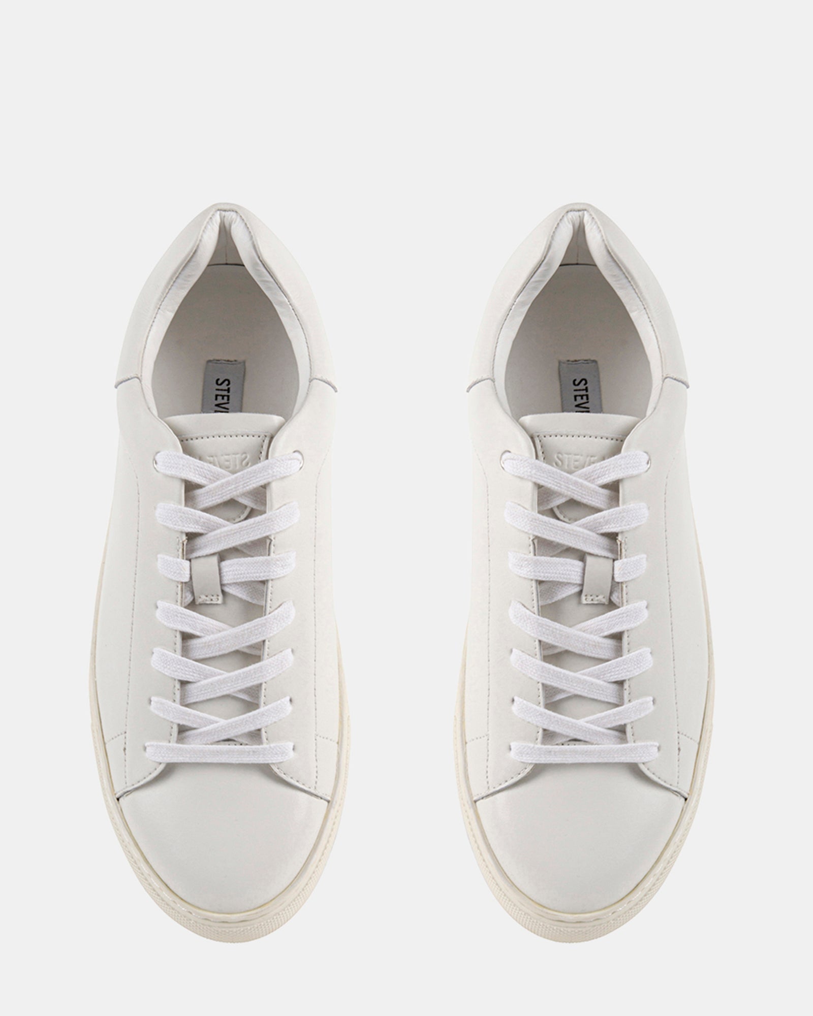 FOGARTY WHITE LEATHER - Men's Shoes - Steve Madden Canada