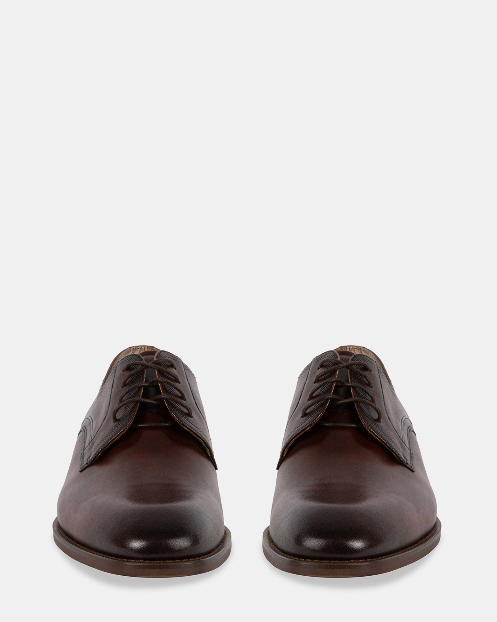 GIANNO BROWN LEATHER - Men's Shoes - Steve Madden Canada