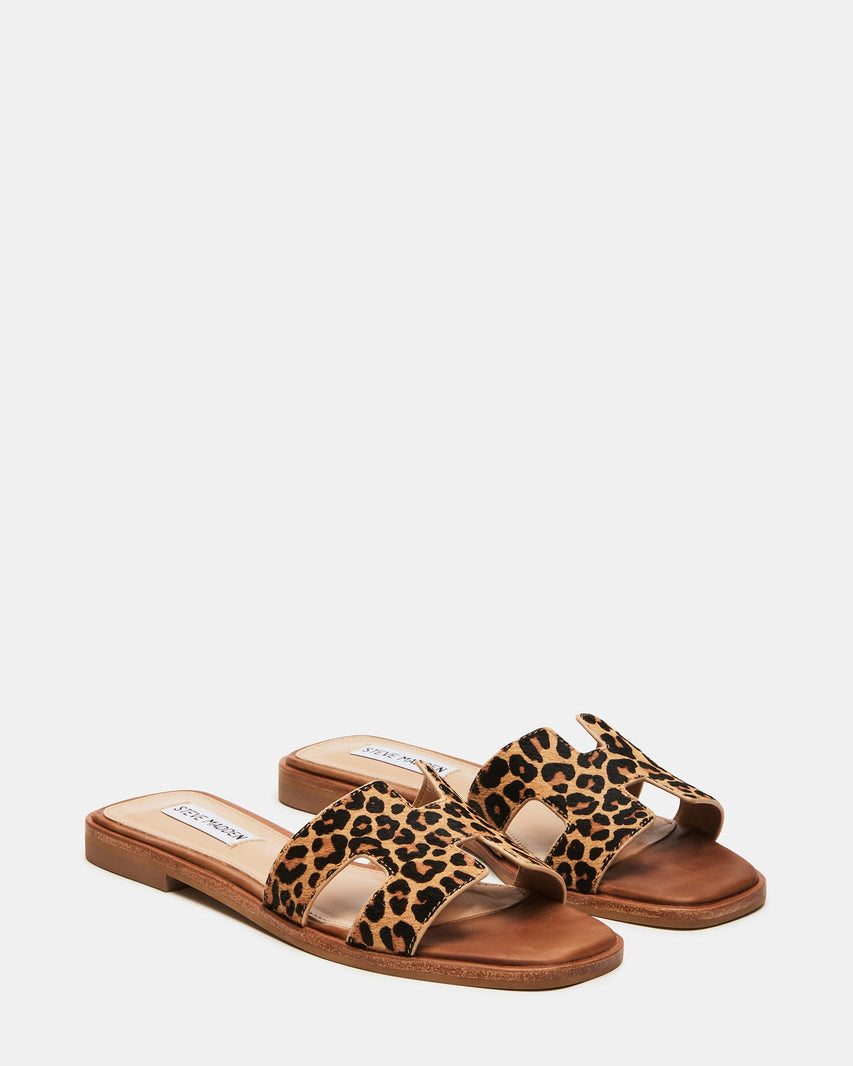 HADYN-L LEOPARD - Women's Shoes - Steve Madden Canada