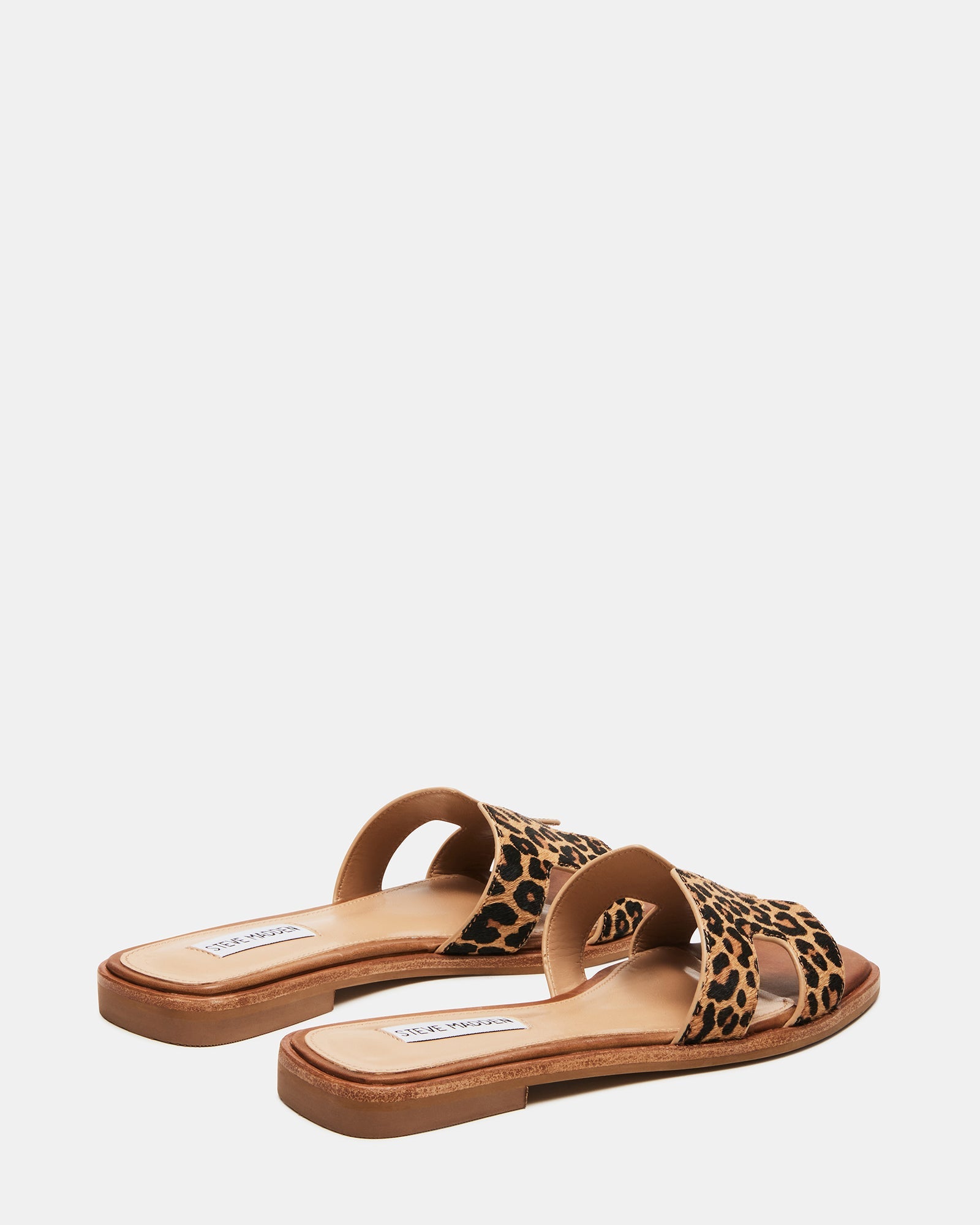 HADYN-L LEOPARD - Women's Shoes - Steve Madden Canada