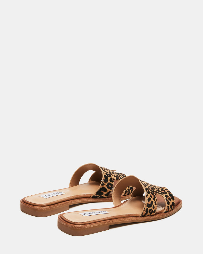 HADYN-L LEOPARD - Women's Shoes - Steve Madden Canada