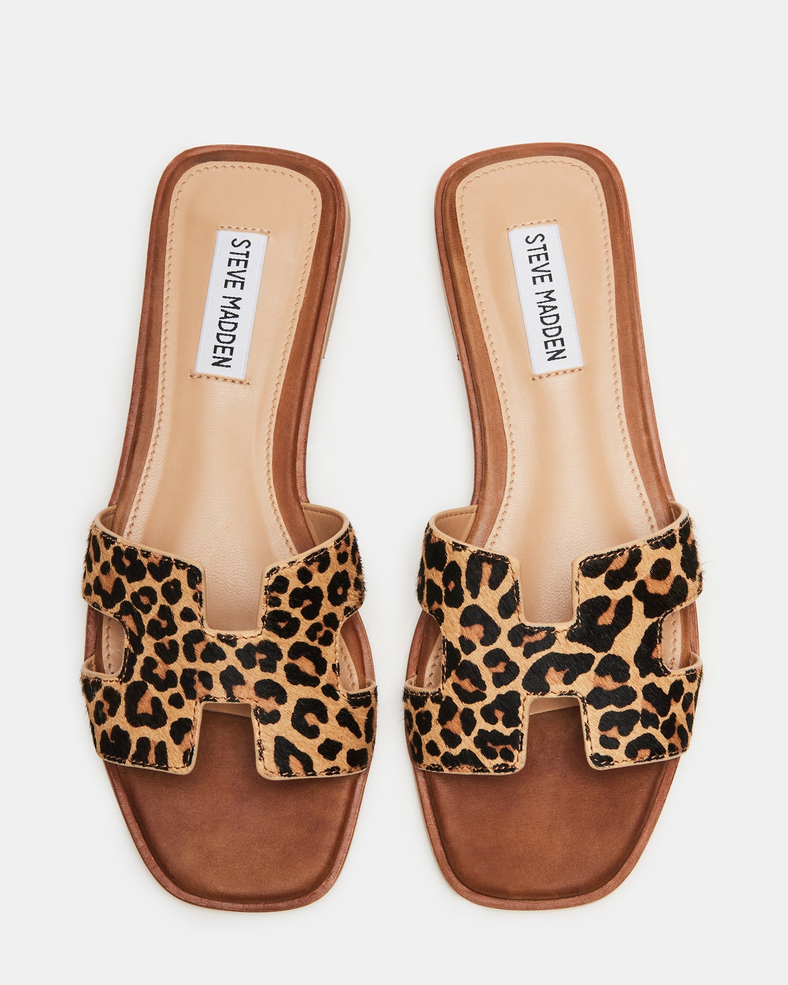 HADYN-L LEOPARD - Women's Shoes - Steve Madden Canada