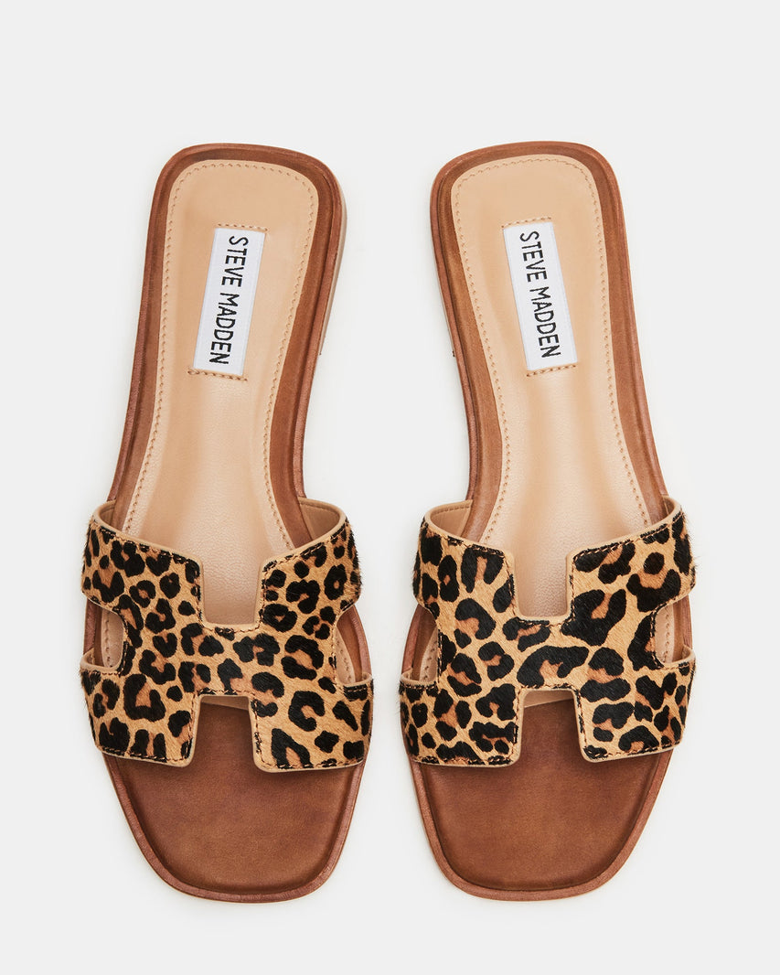 HADYN-L LEOPARD - Women's Shoes - Steve Madden Canada