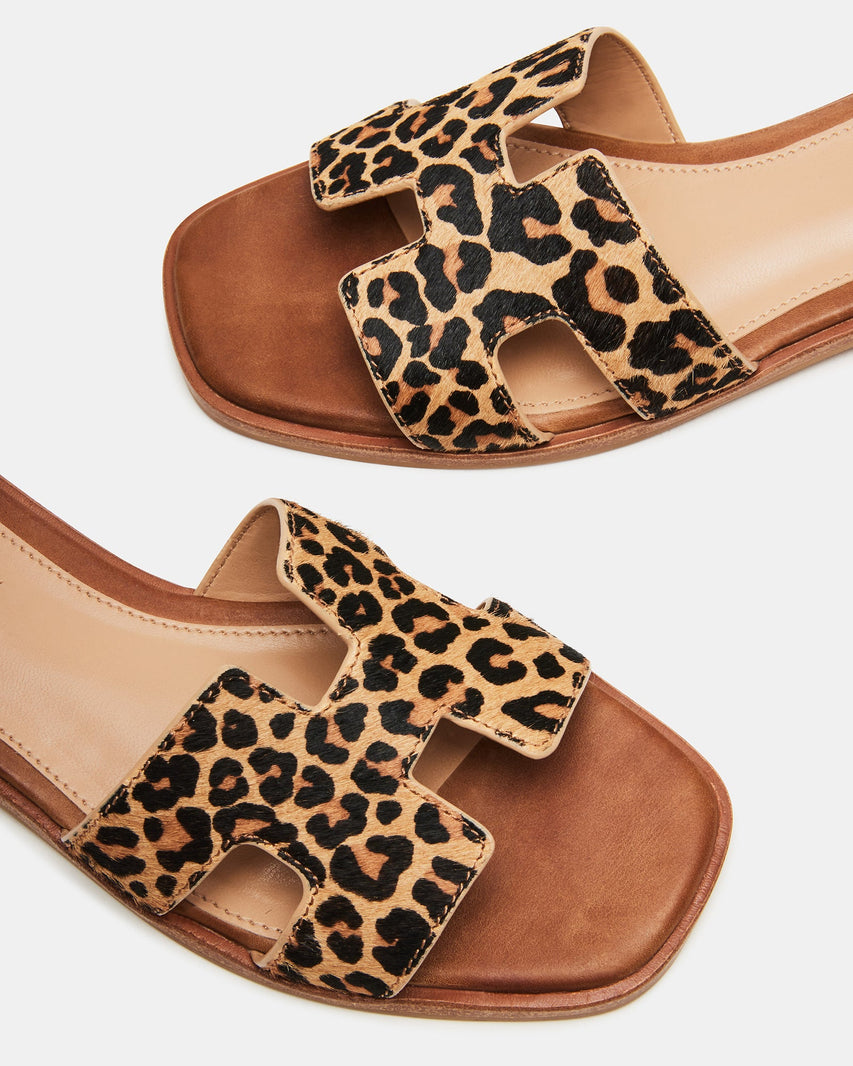 HADYN-L LEOPARD - Women's Shoes - Steve Madden Canada